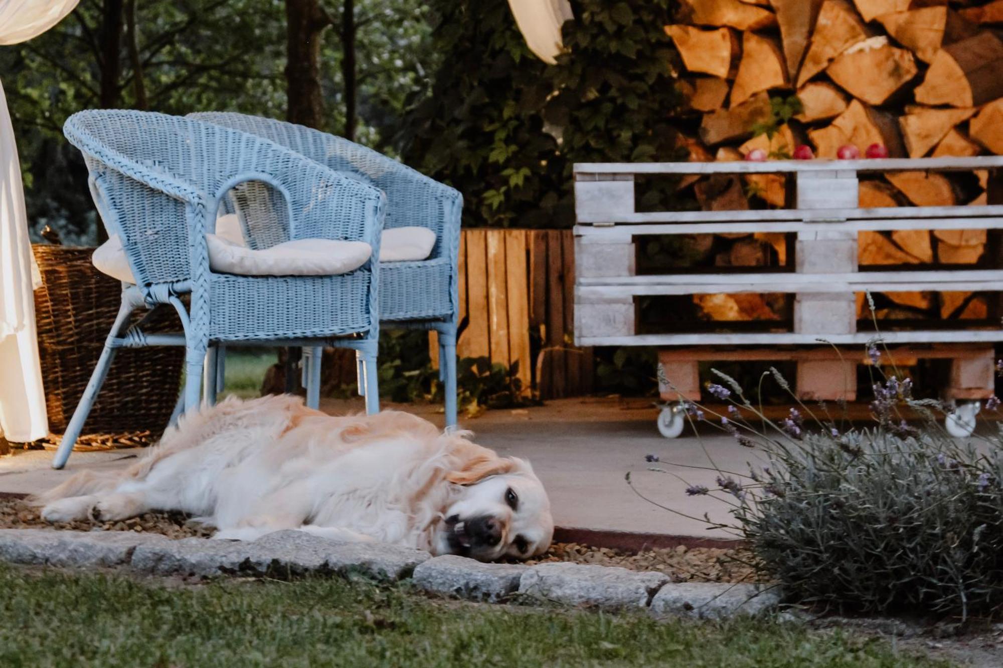 Siedlisko Nad Miedwiem Stargard Szczeciński Exteriér fotografie